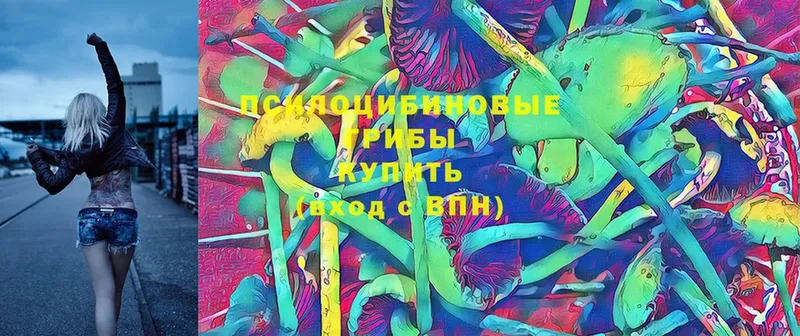 Псилоцибиновые грибы MAGIC MUSHROOMS  где продают   Тавда 