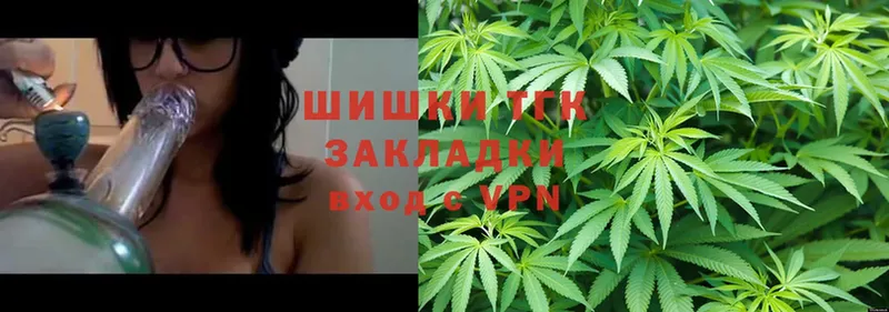 что такое   Тавда  Конопля Bruce Banner 